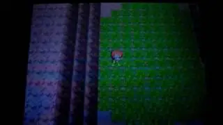 2 shiny Geodudes with only 3 Super Repels left!