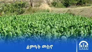 ኣብ ቀዳማይ ዙር ልዕሊ ሓደ ሽሕ ሄክታር መሬት ብመስኖ እናለምዐ ይርከብ፦ ምምሕዳር ወረዳ ሓውዜን