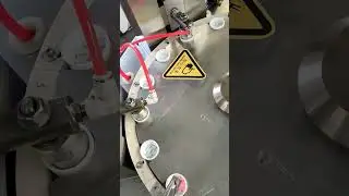 Bottle cap wad insertion machine