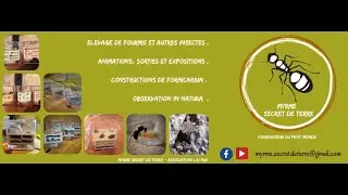 Unboxing myrme secret de terre