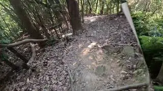じいさんpo：下山