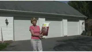 Protect Your Animals With FlySwatter Fly Repellent