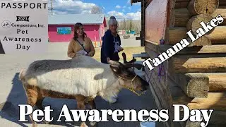 Pet Awareness Day and Tanana Lakes | Green-up Day