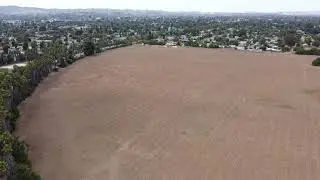 Sepulveda Basin / Dirt Lot / August 15, 2020