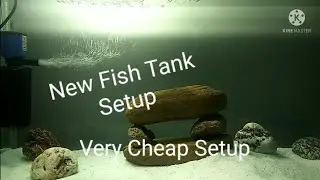 Fish tank Setup in Rs 200/- only|Hindi|