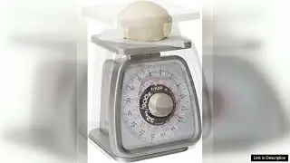 Taylor Mechanical Portion Control Kitchen Scale Food Scale for Precise Weight Measuring
