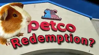 PETCO Redemption? Guinea Pig Care
