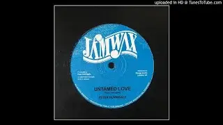 Peter Hunnigale - Untamed Love