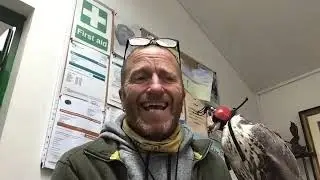 Martin Ballam, Director of the Dorset Falconry Park, talks about Conservation of the Lugger Falcon.
