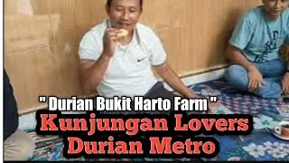 Kunjungan Lovers Durian Metro Menikmati Durian Bukit Harto Farm #durian #kebundurian