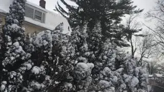 Blizzard  12