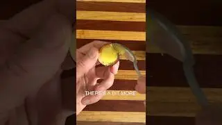 Secrets of the Avocado #avocado #guacamole