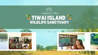 ПОСЕЩЕНИЕ ОСТРОВА ТИВАИ ВЛОГ 🏝️ ЗАПОВЕДНИК ДИКОЙ ПРИРОДЫ, ОСТРОВ СЬЕРРА-ЛЕОНЕ