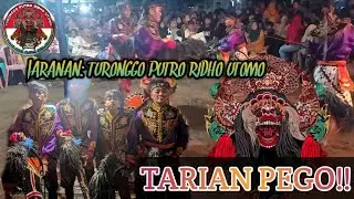 Tari PEGO!!kesenian jaranan/Turonggo Putro Ridho Utomo.