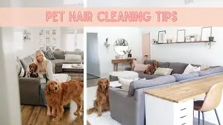 Pet Hair Cleaning Tips | How To Clean Your House With Shedding Pets | The Best Vacuum for Pet Hair