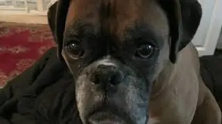 Casey is amused
