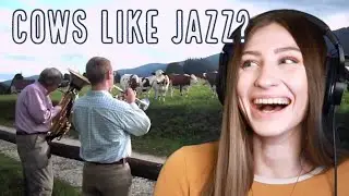 Playing Jazz For Cows...