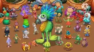 What If Mimking On Amber Island