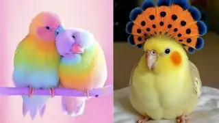 Smart And Funny Parrots Parrot Talking Videos Compilation (2026) - Cute Birds #5