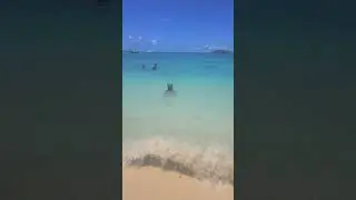 Bahamas free snorkeling