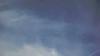 Knurri @ Panikfliegen
