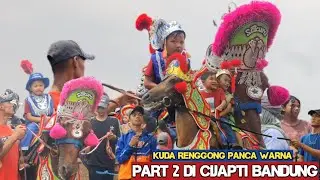 Kuda renggong panca warna geboy grup - Dancing horse video