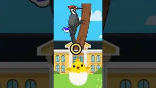 🐦Learn Woodpecker Bird Names and Sounds! | Fun for Kids