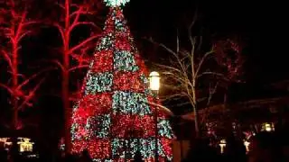 SDC Christmas 2009