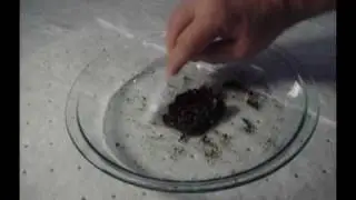 Clay - Water Spill Cleanup