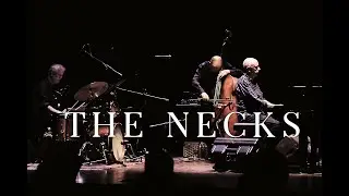 The Necks - excerpt (live at MountEcho', Italy)