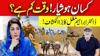 Pakistan&rsquo;s Wheat Crisis Getting Serious? The Real Reason Farmers Are Not Sowing