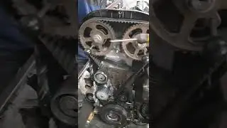 peugeot 406 timing belt replacement,