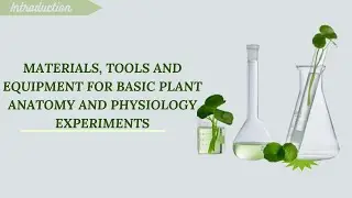 Introduction to plant anatomy and physiology practicals.