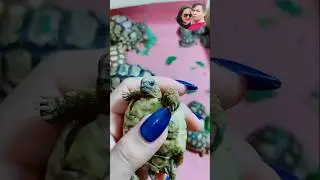 cute little turtle#Devia.chanel