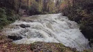 Wasserfall Tine de Conflens der Venoge bei La Sarraz