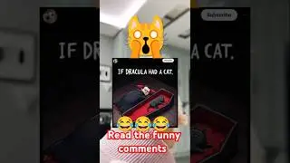 Cute little babies&nbsp;#cat&nbsp;#kitten&nbsp;#cute&nbsp;#cutecat&nbsp;#meow&nbsp;#kittencomedy&nbsp;#kittycomedy&nbsp;#comedy (26 seconds)
