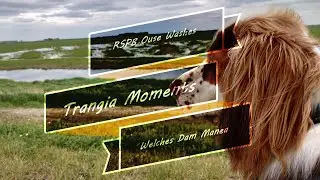 RSPB Ouse Washes (Trangia Moments) Welches Dam Manea