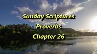 Sunday Scriptures - Proverbs Chapter 26