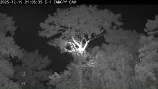 KNF E-1 - 2025.12.19 - Anna II flying at night during a new moon and crashes a few times
