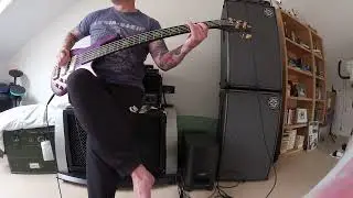 Alice in Chains Would? Spector Skylar Accord Fishman fluence