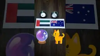 ⚽️😺 Oracle Cat predicts UAE vs. Australia 2:0 #AFCU17 #OracleCat