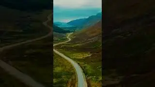Успокаивающий крем с низкомолекулярной гиалуроновой кислотой Torriden DIVE-IN Soothing Cream 100 мл.