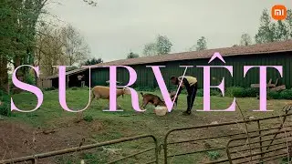 Surv&ecirc;t | R&eacute;alis&eacute; par Louis Faury