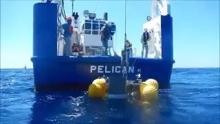 ECOGIC Deployment Gulf of Mexico