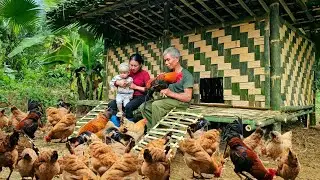 Building Bamboo House For Chickens - Process From Start To Finish - Tin's Daily Life