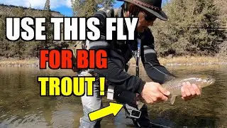 Crooked River Fly Fishing Trout- Tutorial on 