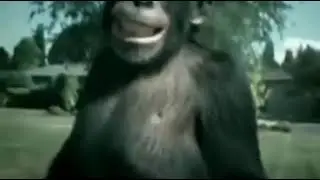 U N L E A S H T H E M O N K E Y