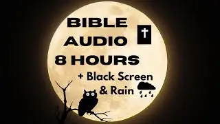 8 Hours Black Screen Bible Audio + Rain | Comforting KJV Scriptures Sleep With God's Word