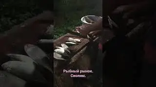 Рыбный рынок. Сиолим. Креветки. Рыба 🐠