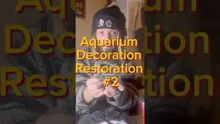 Aquarium decoration restoration
